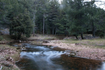 cañon riolobo14...
